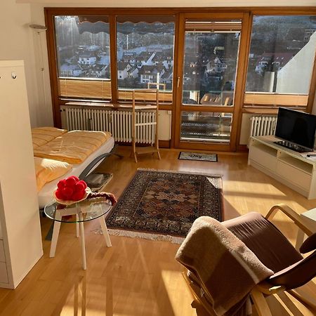 Steiert Panorama Apartments Todtnau Dış mekan fotoğraf