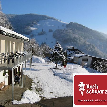 Steiert Panorama Apartments Todtnau Dış mekan fotoğraf