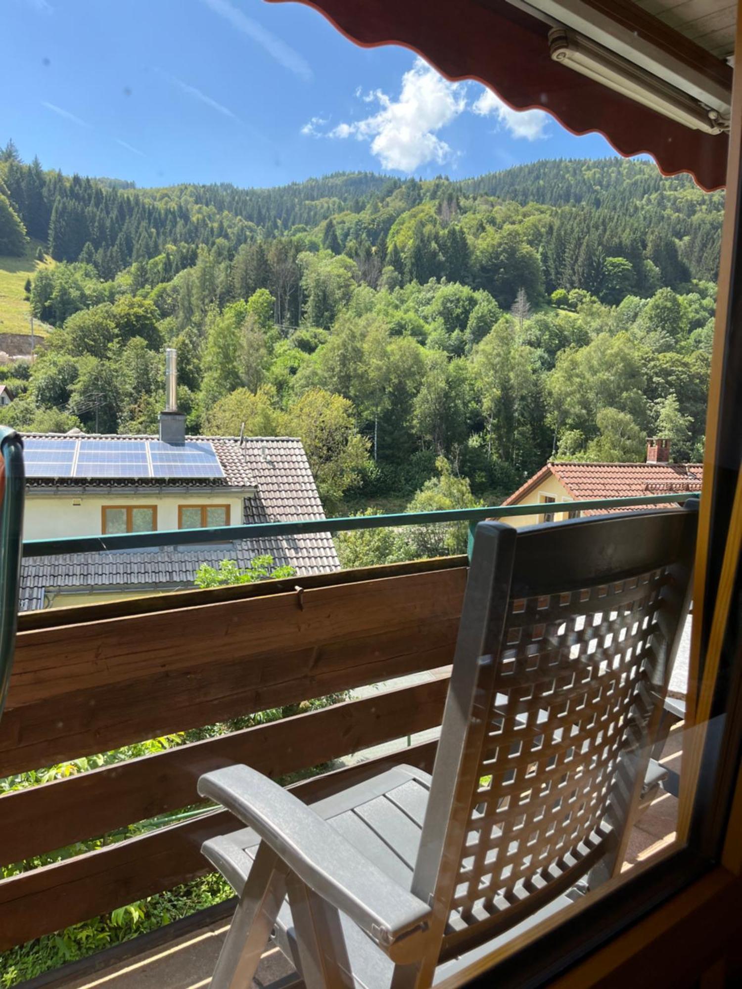 Steiert Panorama Apartments Todtnau Dış mekan fotoğraf