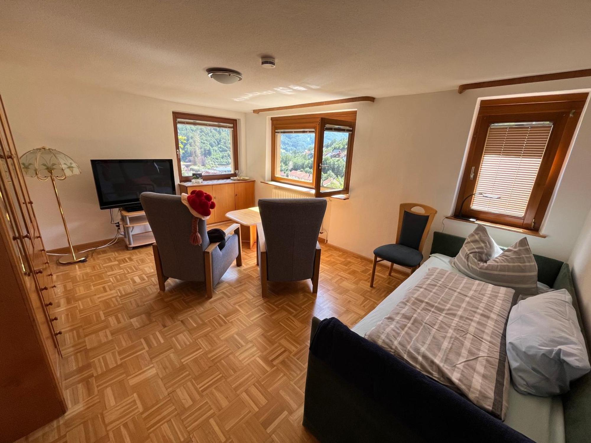 Steiert Panorama Apartments Todtnau Dış mekan fotoğraf