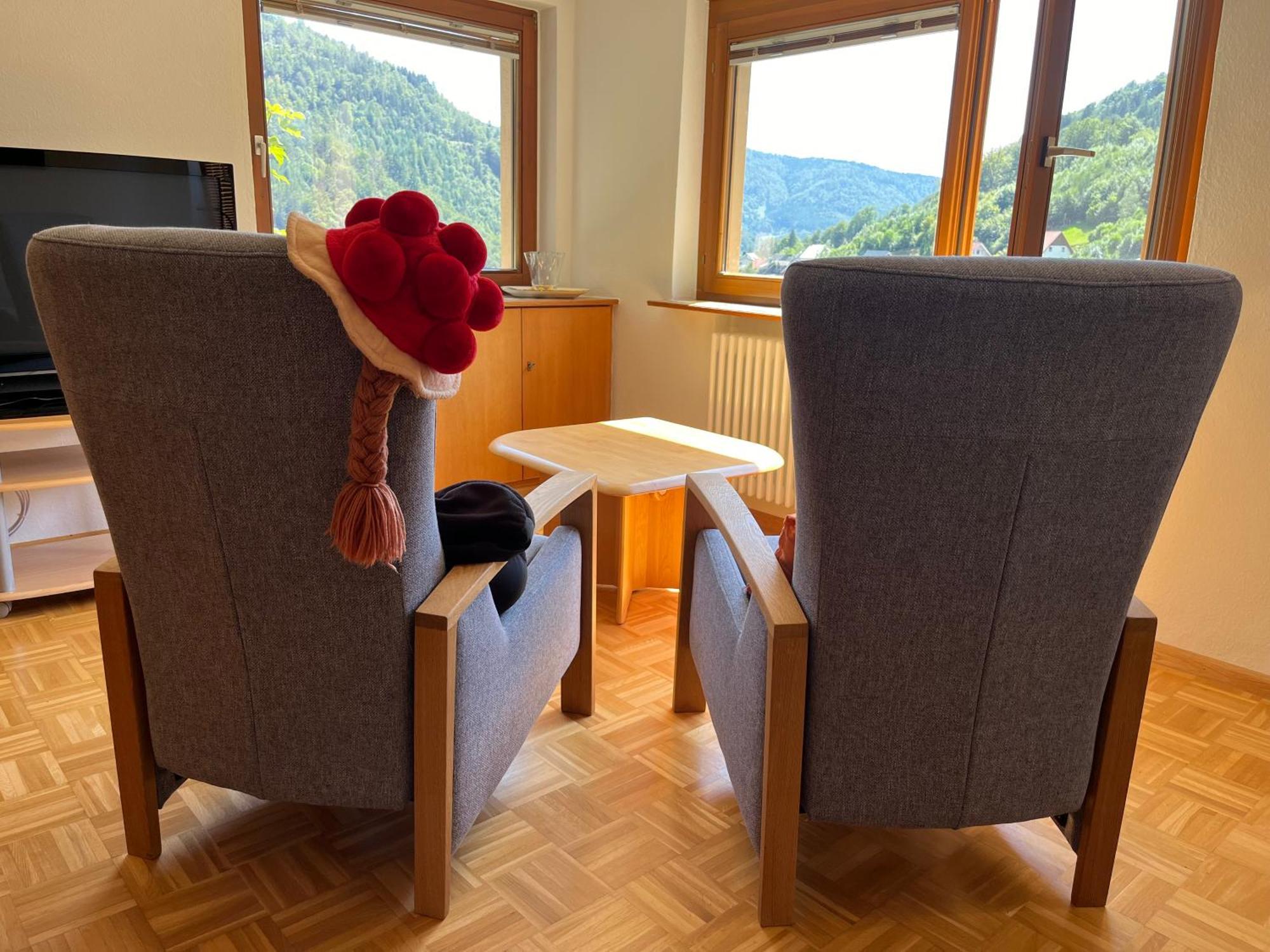Steiert Panorama Apartments Todtnau Dış mekan fotoğraf