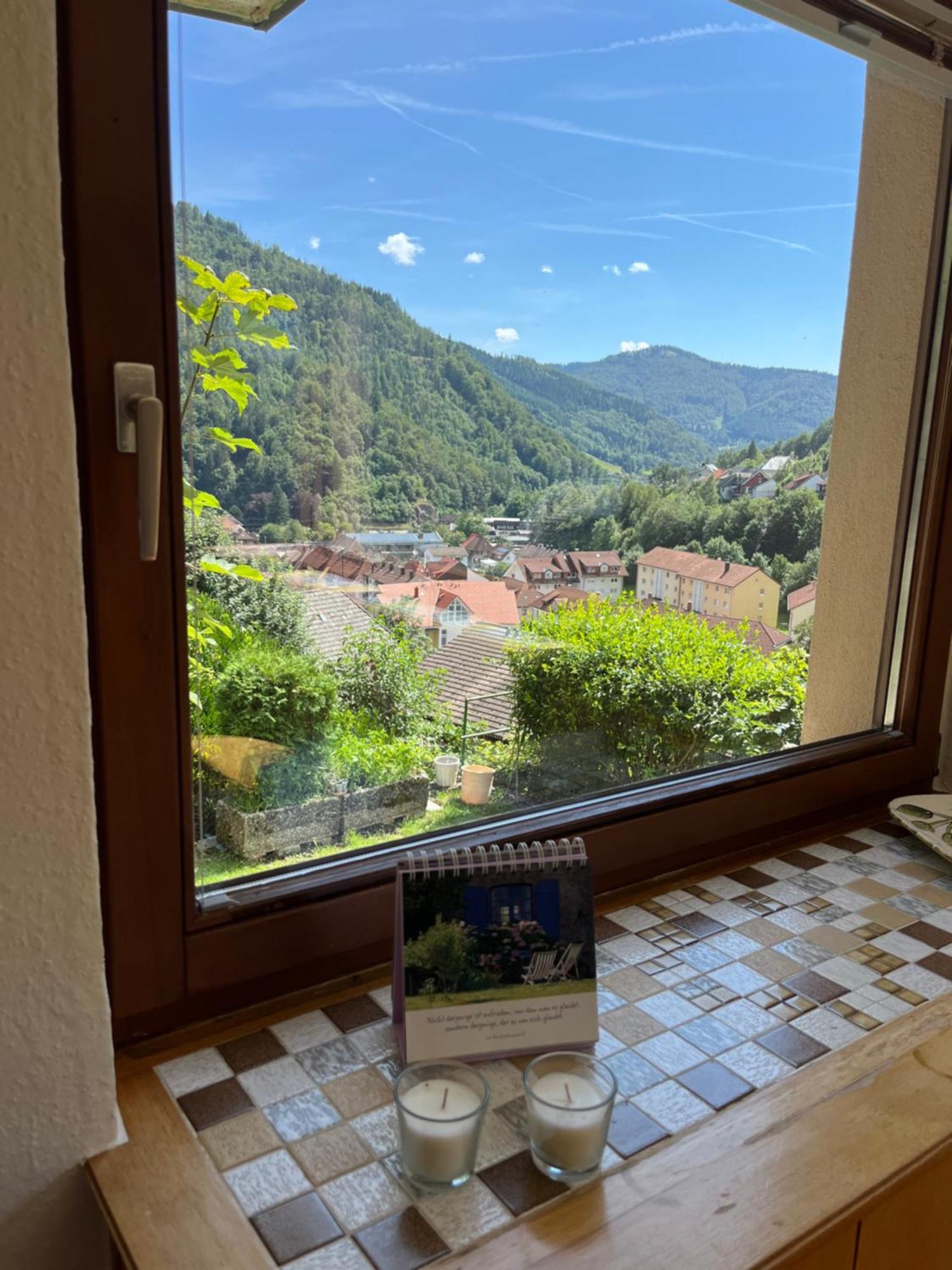 Steiert Panorama Apartments Todtnau Dış mekan fotoğraf