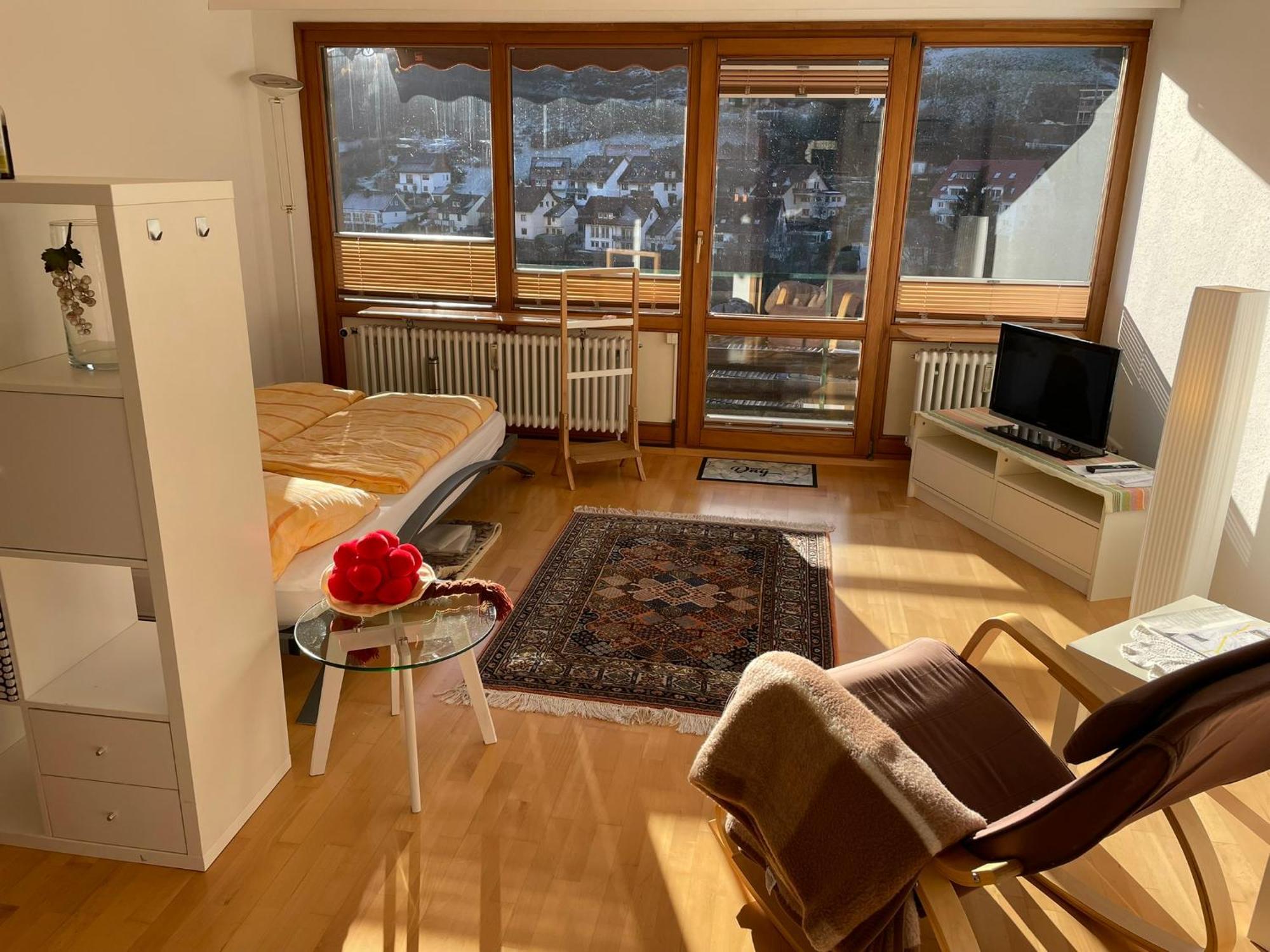 Steiert Panorama Apartments Todtnau Dış mekan fotoğraf