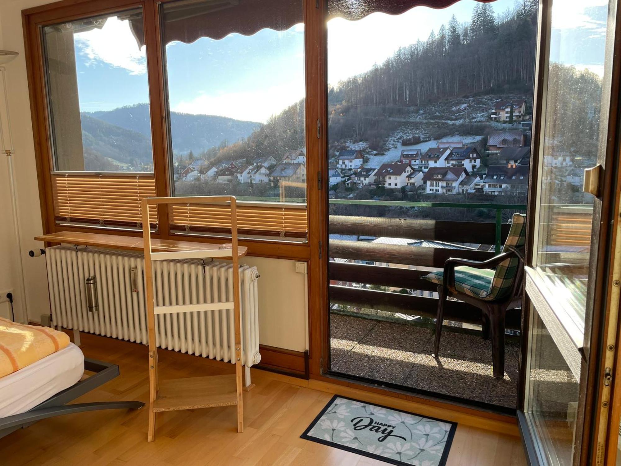 Steiert Panorama Apartments Todtnau Dış mekan fotoğraf