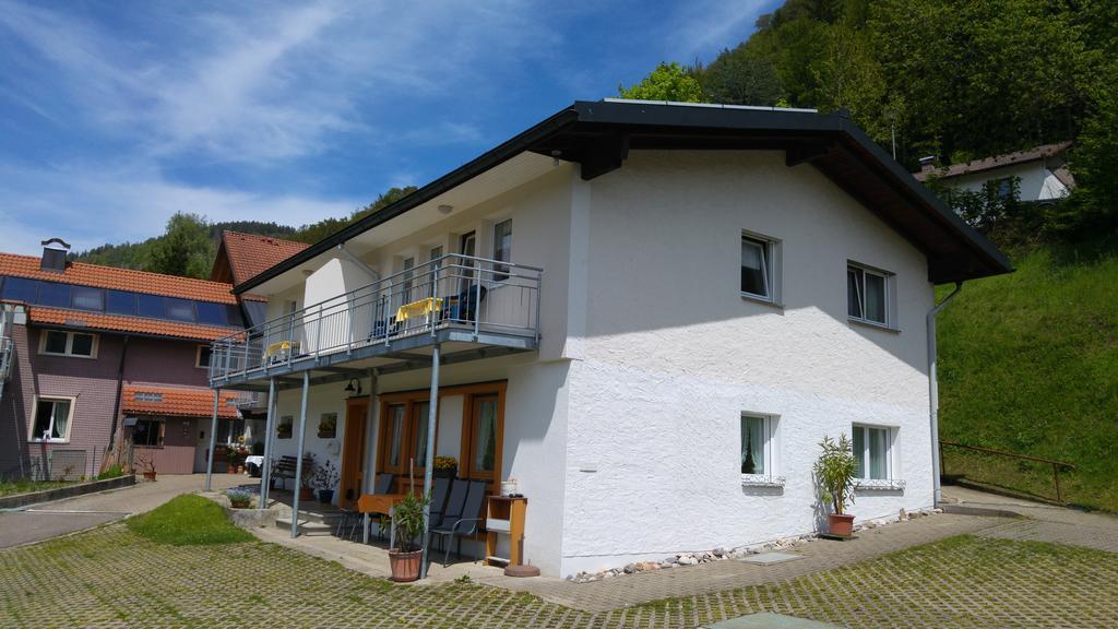 Steiert Panorama Apartments Todtnau Dış mekan fotoğraf