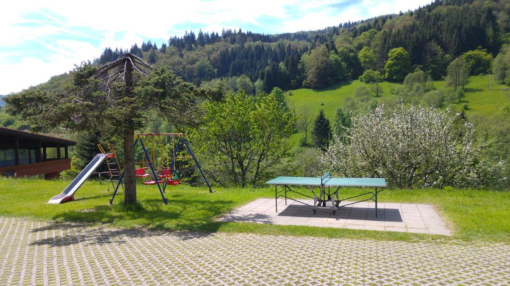 Steiert Panorama Apartments Todtnau Dış mekan fotoğraf