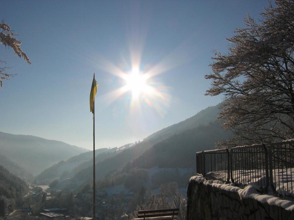Steiert Panorama Apartments Todtnau Dış mekan fotoğraf