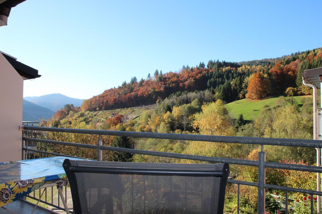 Steiert Panorama Apartments Todtnau Dış mekan fotoğraf