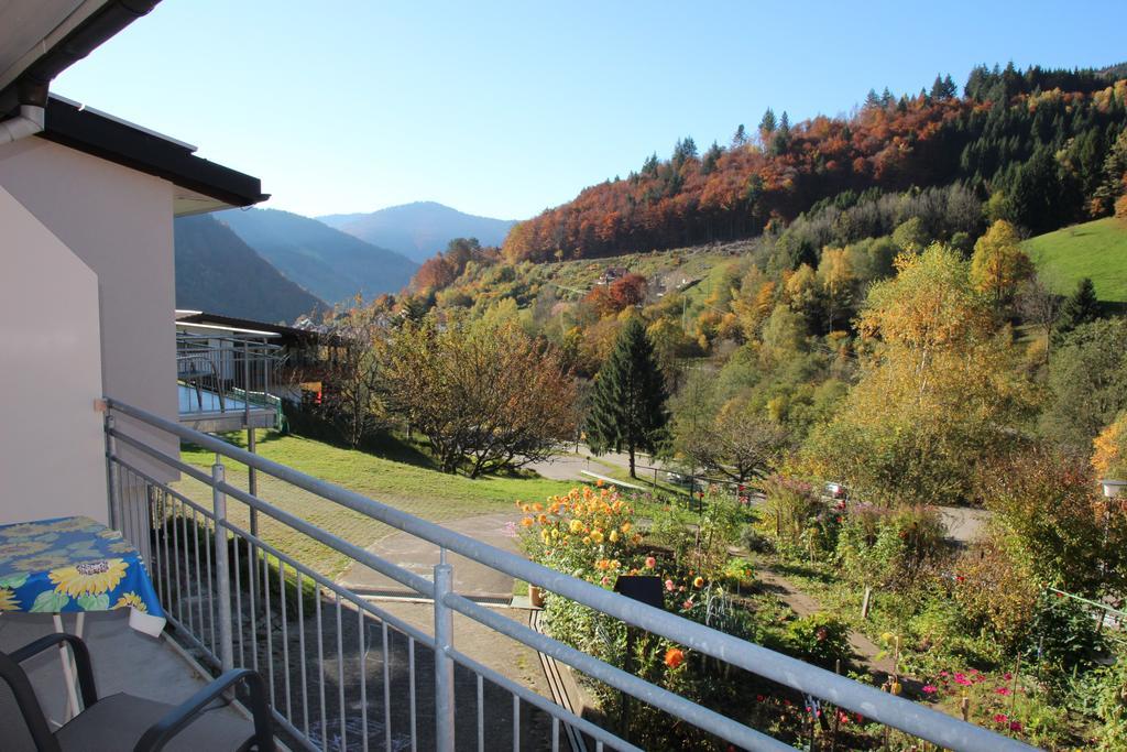 Steiert Panorama Apartments Todtnau Dış mekan fotoğraf