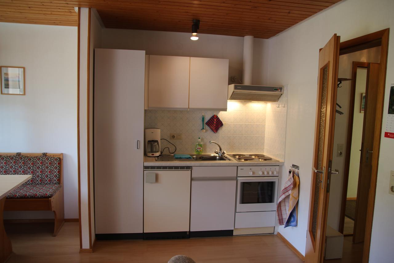 Steiert Panorama Apartments Todtnau Dış mekan fotoğraf