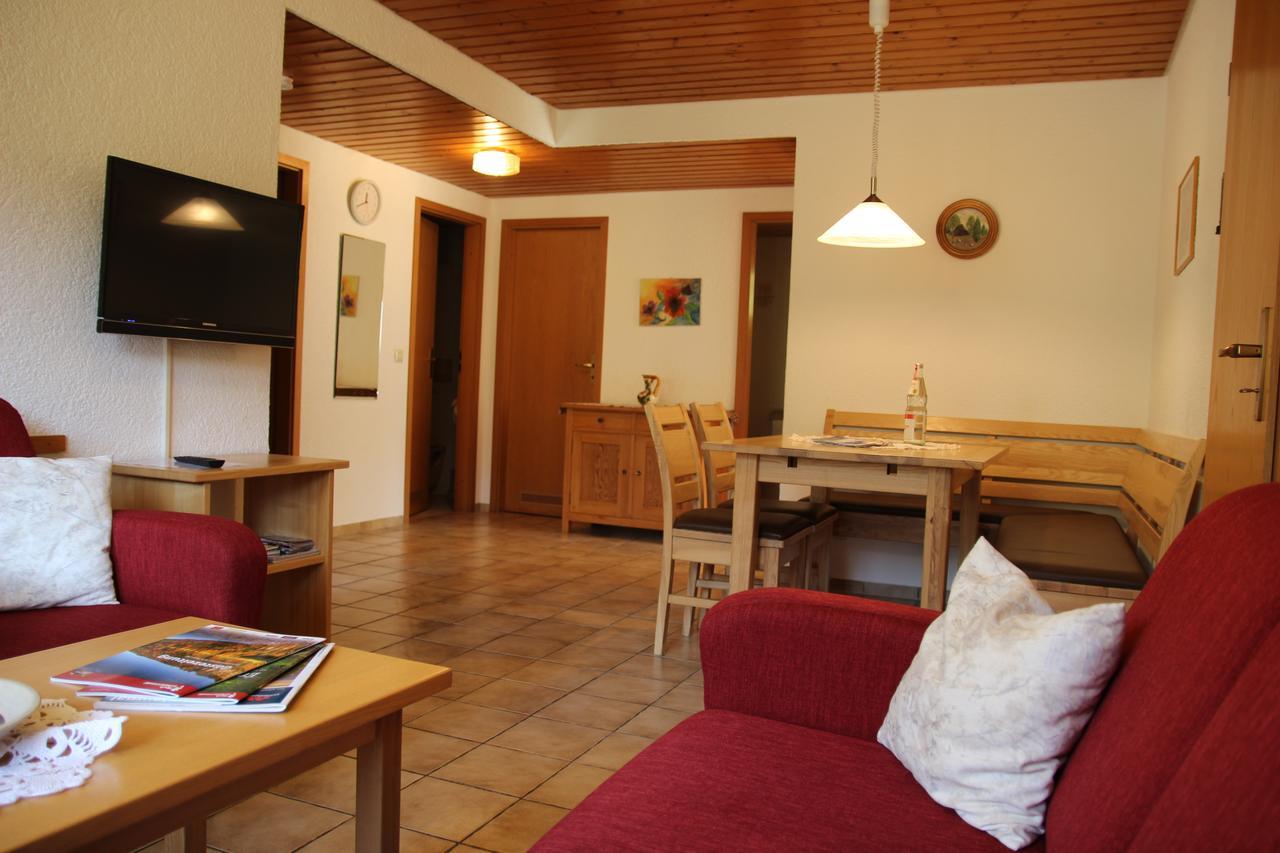 Steiert Panorama Apartments Todtnau Dış mekan fotoğraf