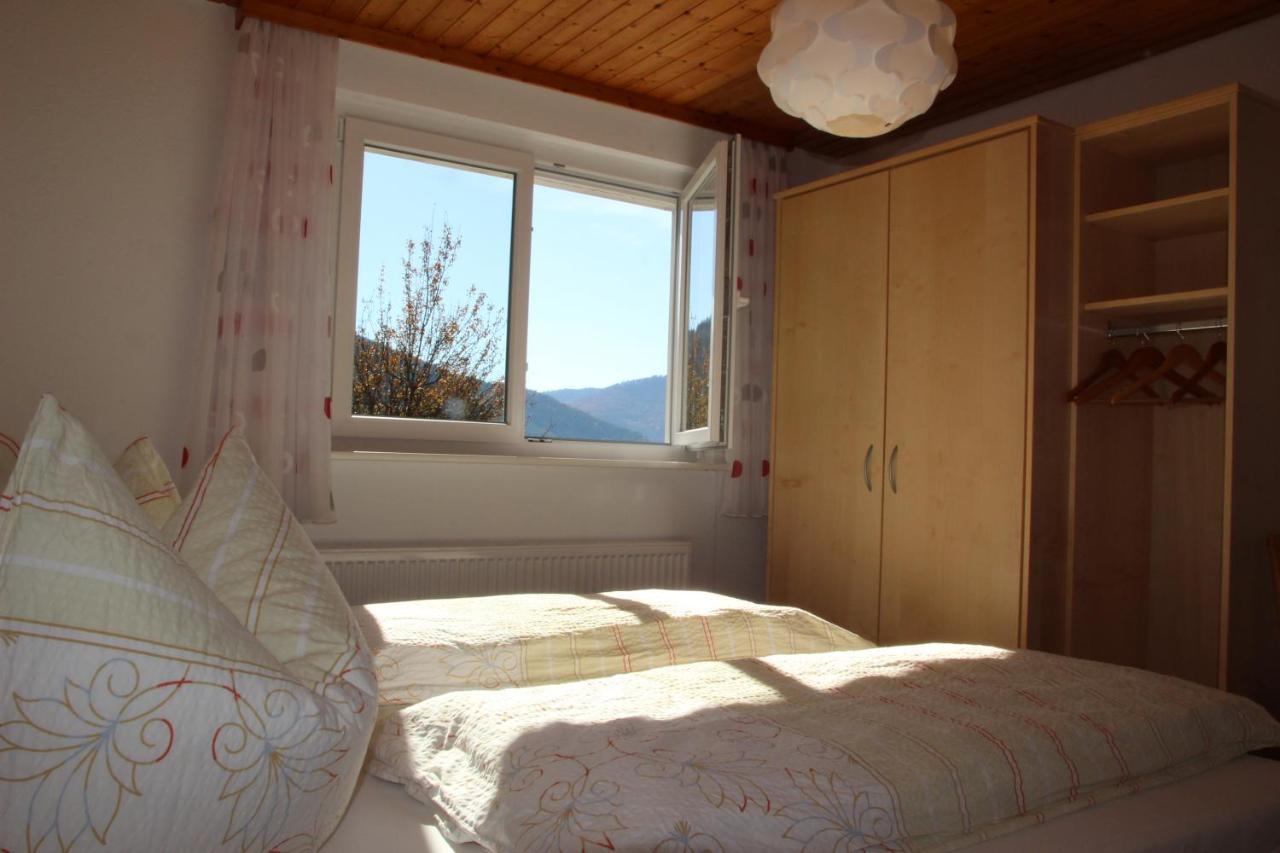 Steiert Panorama Apartments Todtnau Dış mekan fotoğraf
