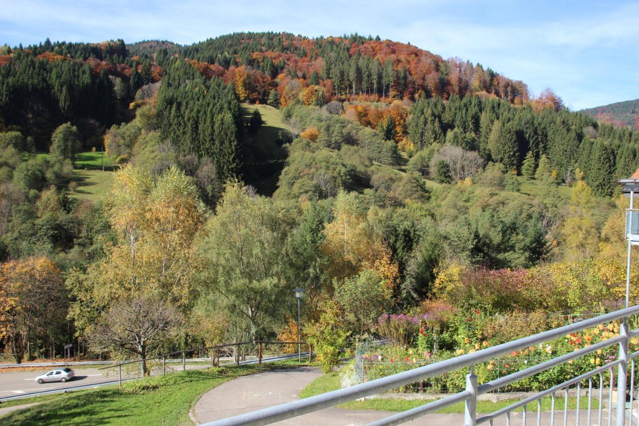 Steiert Panorama Apartments Todtnau Dış mekan fotoğraf