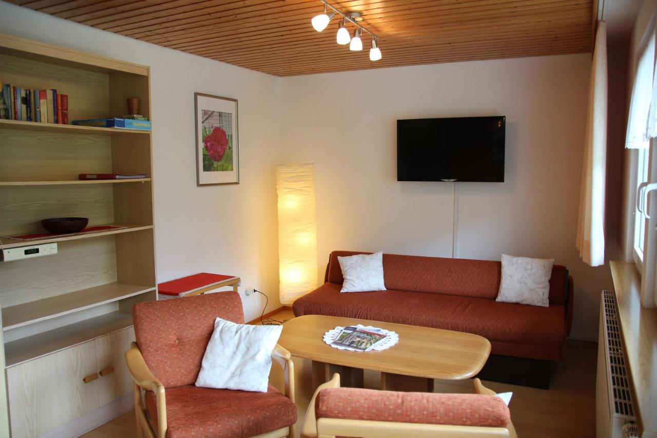 Steiert Panorama Apartments Todtnau Dış mekan fotoğraf