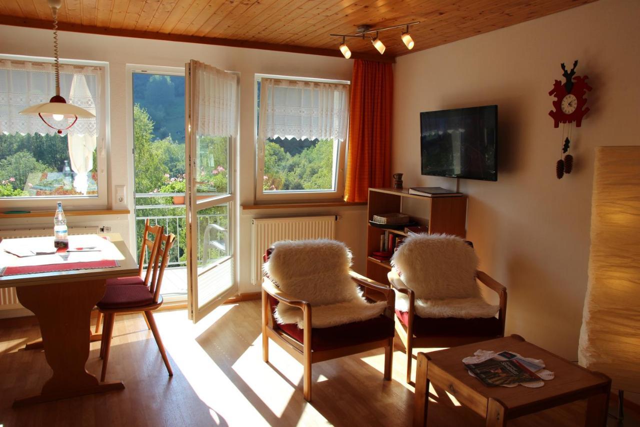 Steiert Panorama Apartments Todtnau Dış mekan fotoğraf