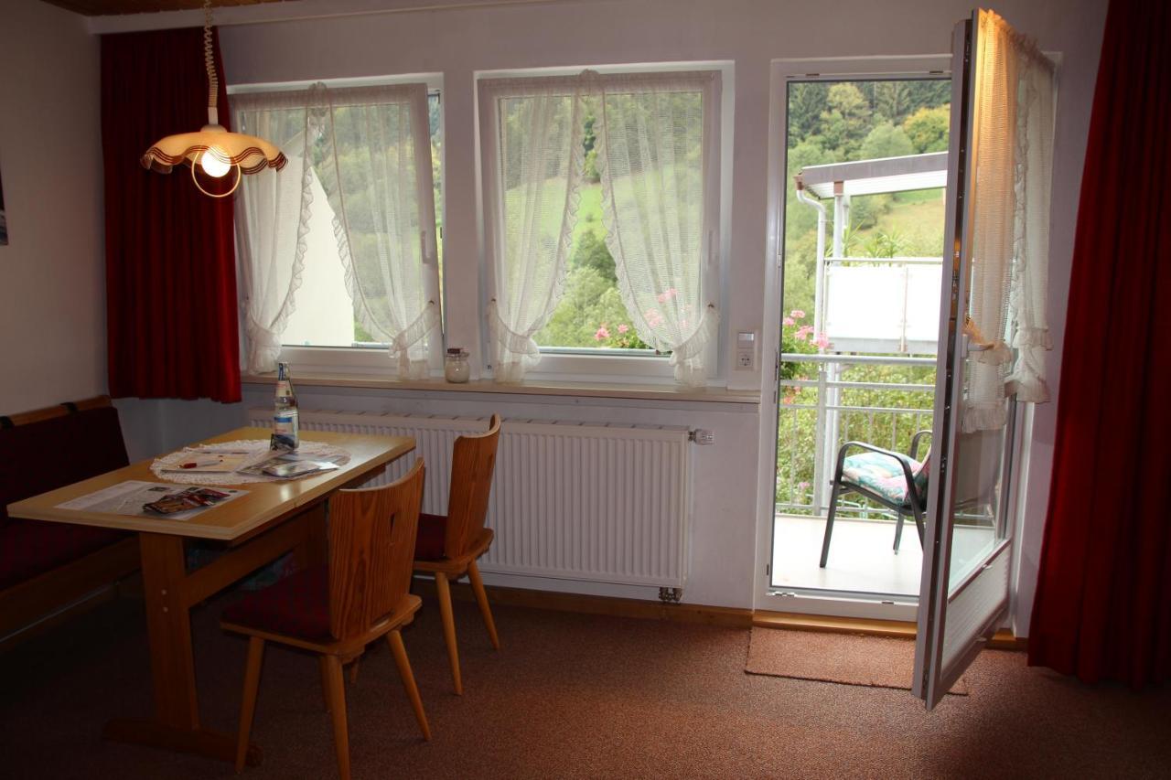 Steiert Panorama Apartments Todtnau Dış mekan fotoğraf