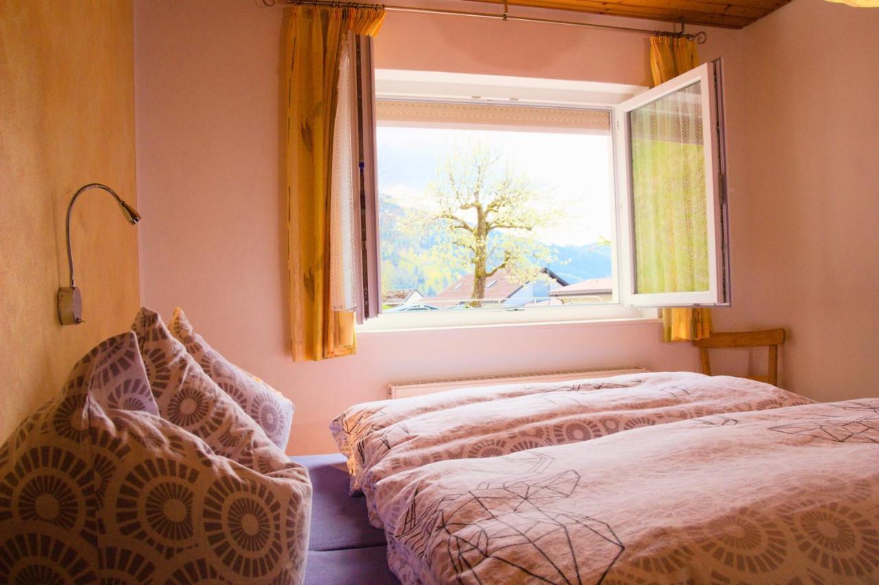 Steiert Panorama Apartments Todtnau Dış mekan fotoğraf