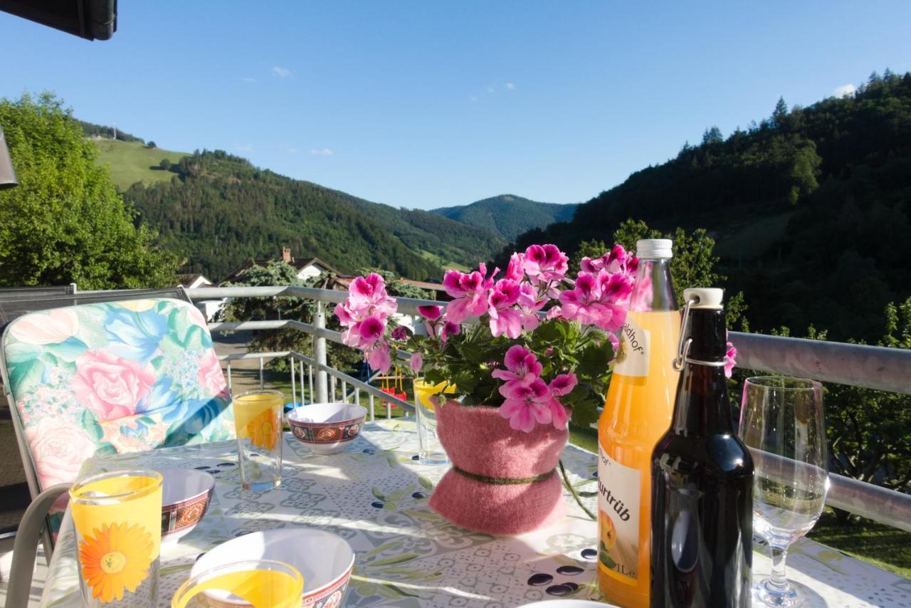 Steiert Panorama Apartments Todtnau Dış mekan fotoğraf