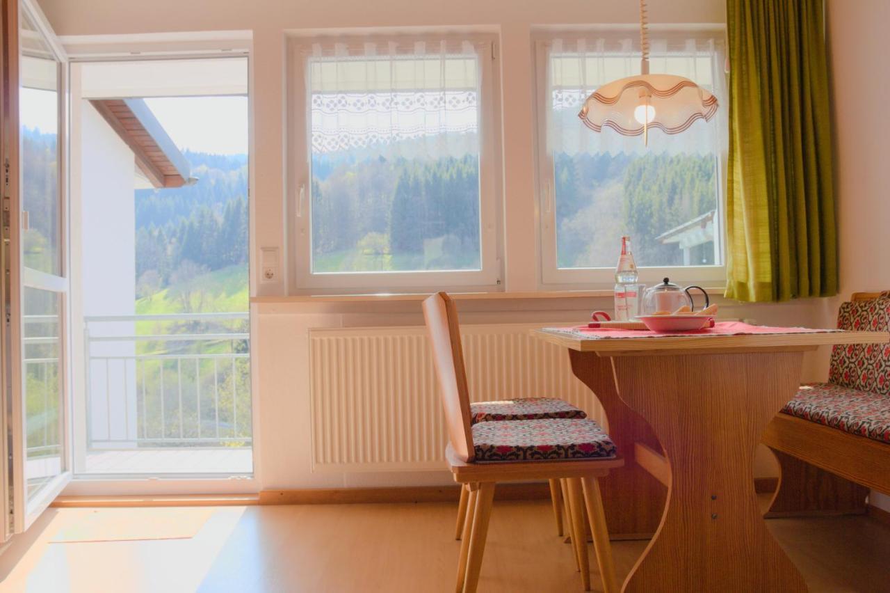 Steiert Panorama Apartments Todtnau Dış mekan fotoğraf